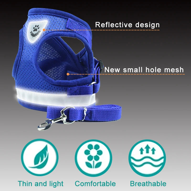 Adjustable Harness with Leash for Small Medium Dog