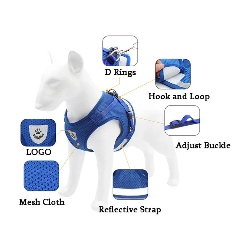 Adjustable Harness with Leash for Small Medium Dog