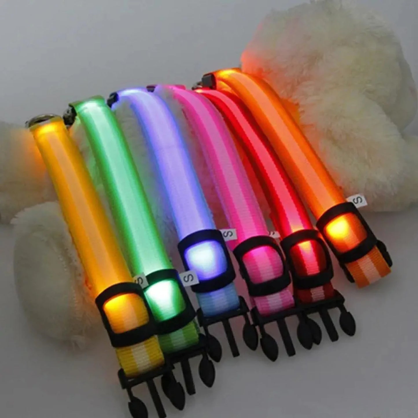 Glow Pet Collar