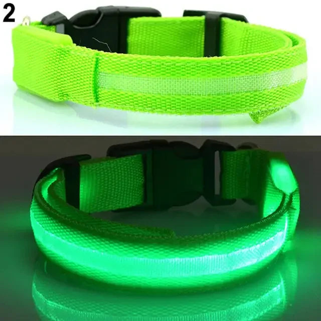 Glow Pet Collar