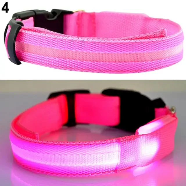Glow Pet Collar