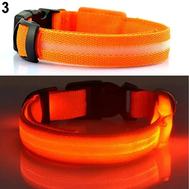 Glow Pet Collar