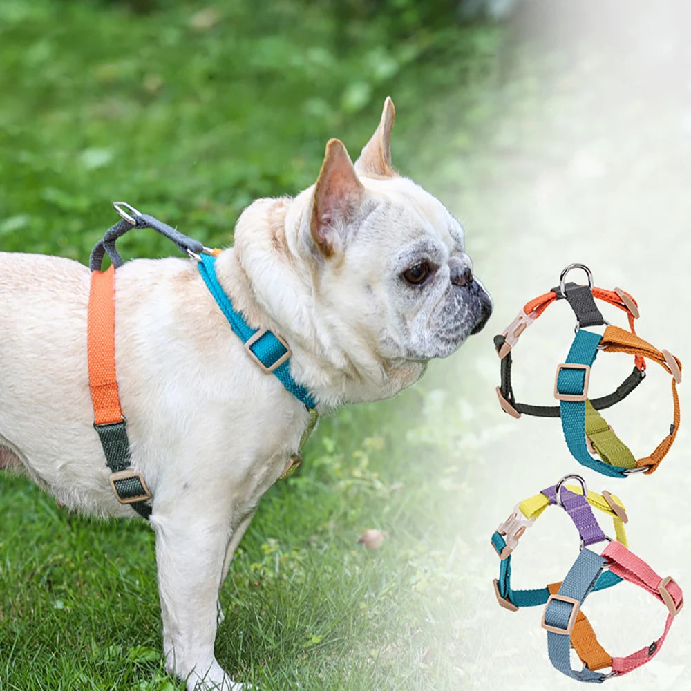Fantastic Rainbow Easy Walk Harness