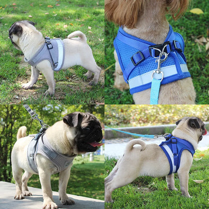 Adjustable Harness with Leash for Small Medium Dog