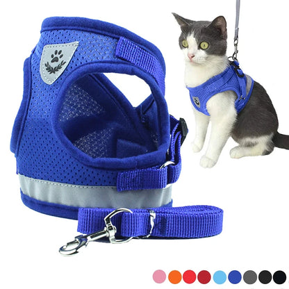 Adjustable Harness with Leash for Small Medium Dog