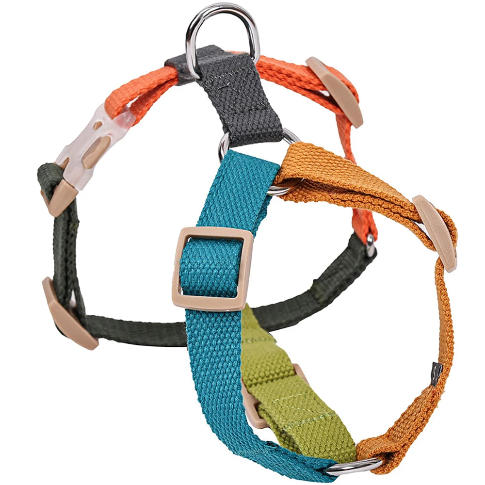 Fantastic Rainbow Easy Walk Harness