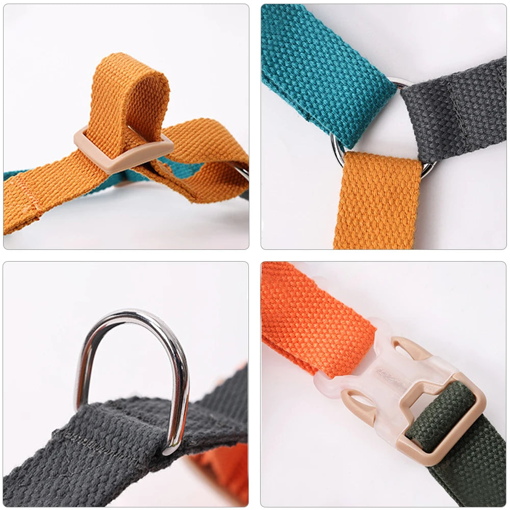 Fantastic Rainbow Easy Walk Harness