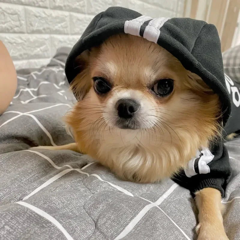 Dog Sweater Winter Clothes Hoodie Shirt