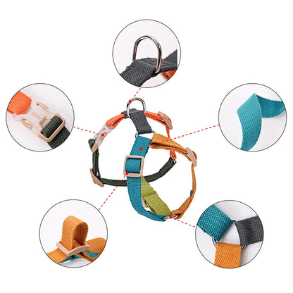 Fantastic Rainbow Easy Walk Harness