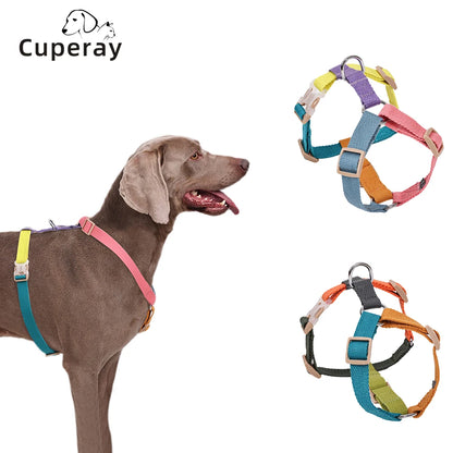 Fantastic Rainbow Easy Walk Harness
