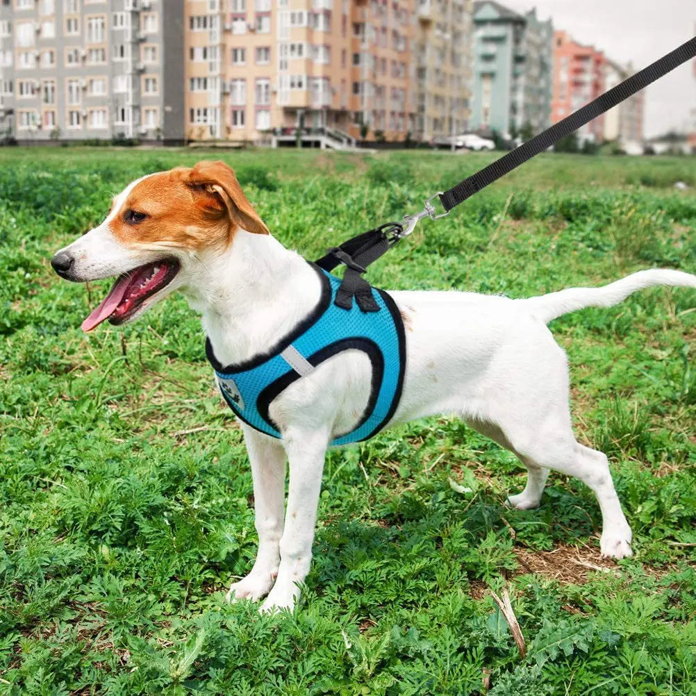 Dog Vest Harnesses