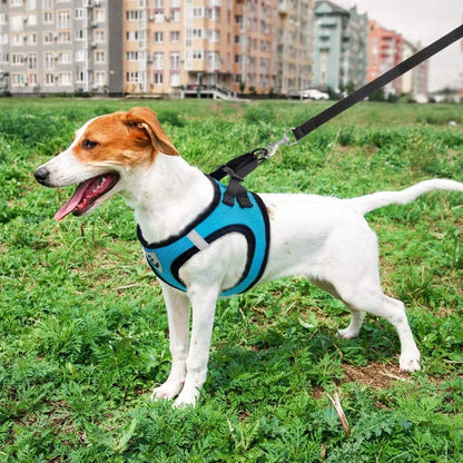 Dog Vest Harnesses